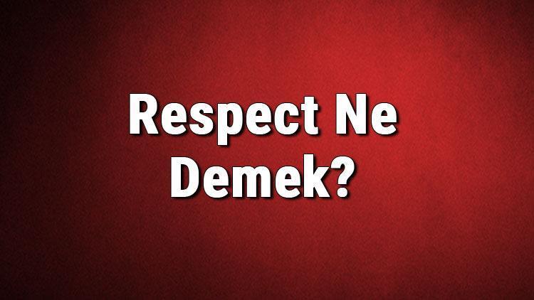 Respect Ne Demek Respect Kelimesinin Türkçe Anlamı Nedir