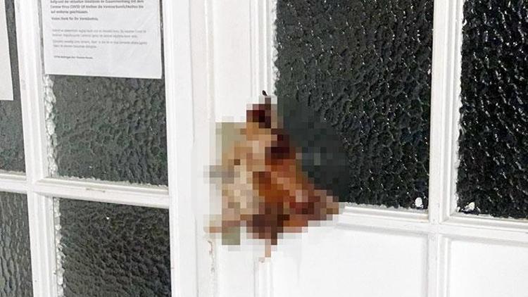 Almanya’da cami kapısına domuz kafası asıldı