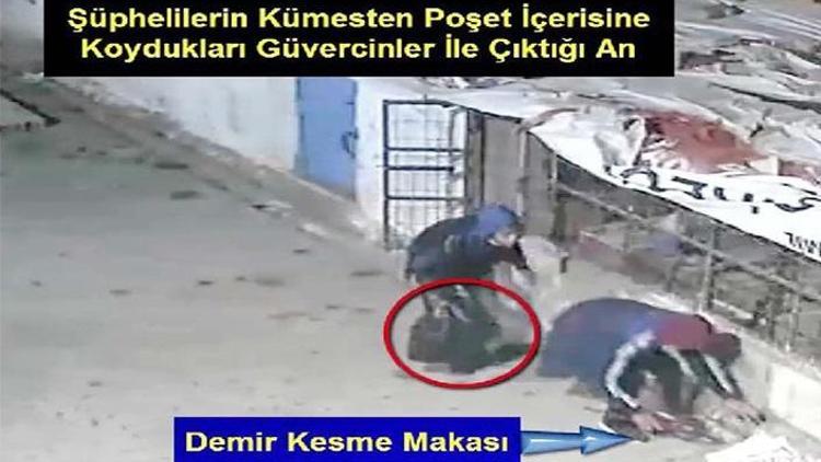 Kümesten güvercin hırsızlığı şüphelisi kameradan belirlenip, yakalandı