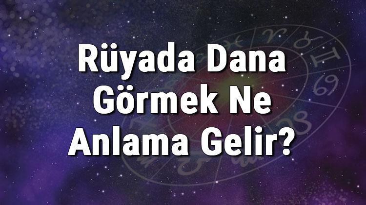 Rüyada Dana Görmek Ne Anlama Gelir? Rüyada Dana Kesmek, Almak Ve Kovalamak Anlamı