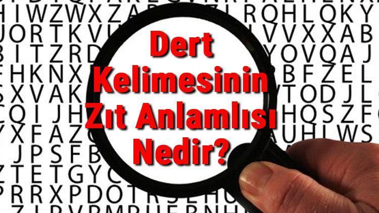 Dert Kelimesinin Zıt Anlamlısı Nedir Derdin Zıt Anlamlısı