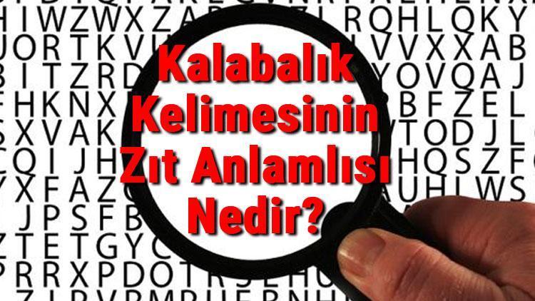 Kalabalık Kelimesinin Zıt Anlamlısı Nedir Kalabalığın Zıt Anlamlısı