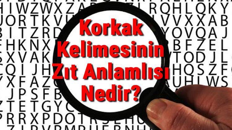 Korkak Kelimesinin Zıt Anlamlısı Nedir Korkağın Zıt Anlamlısı