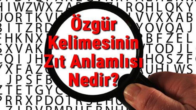 Özgür Kelimesinin Zıt Anlamlısı Nedir Özgürün Zıt Anlamlısı