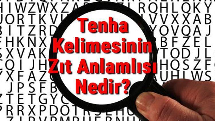 Tenha Kelimesinin Zıt Anlamlısı Nedir Tenhanın Zıt Anlamlısı