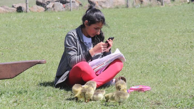 Derslerini kaz ve kuş sesleri arasında EBAdan takip ediyor