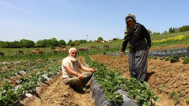 Sosyal medyada ilgi gören çiftin hayali, herkesin bir gün köylere dönmesi