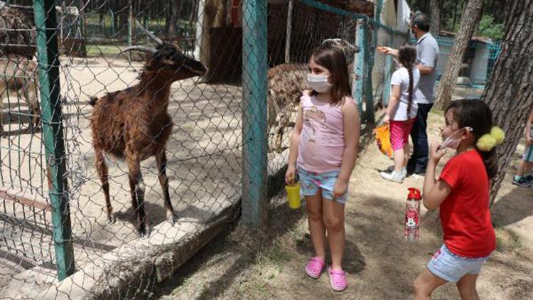 Çocuklar hayvanat bahçesine akın etti