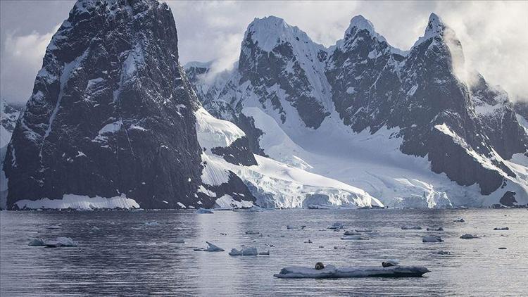 Antartikadaki eriyen kar yüzeyi yosun örtüleriyle kaplanıyor