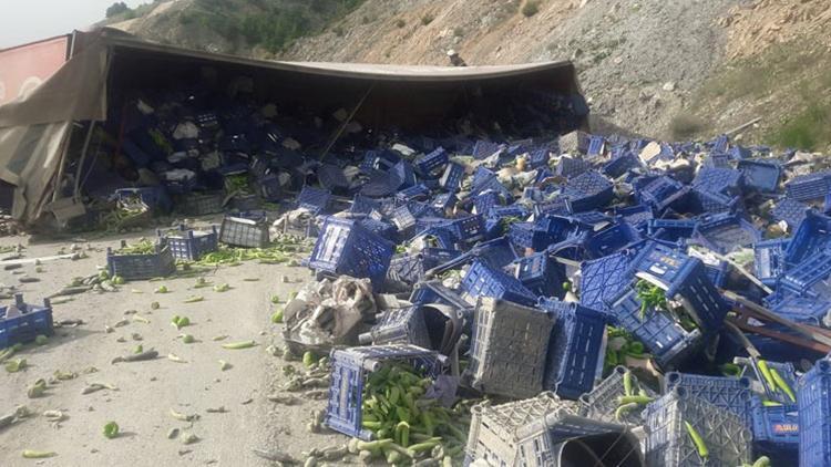 Bilecik’te TIR yan yattı, tonlarca biber kasası yola saçıldı