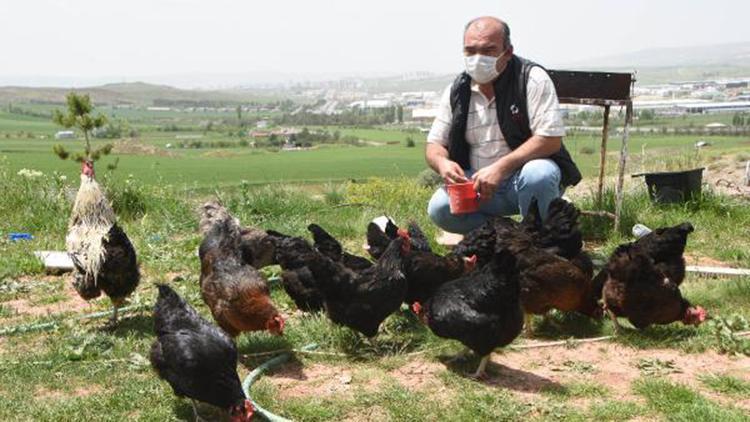 KKTC, yanlışlıkla yaptığı başvurusunu onaylamıştı, Valilikten iznini aldı