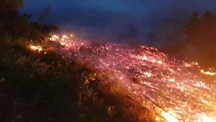Bursada orman yangını büyük çapta hasara yol açtı