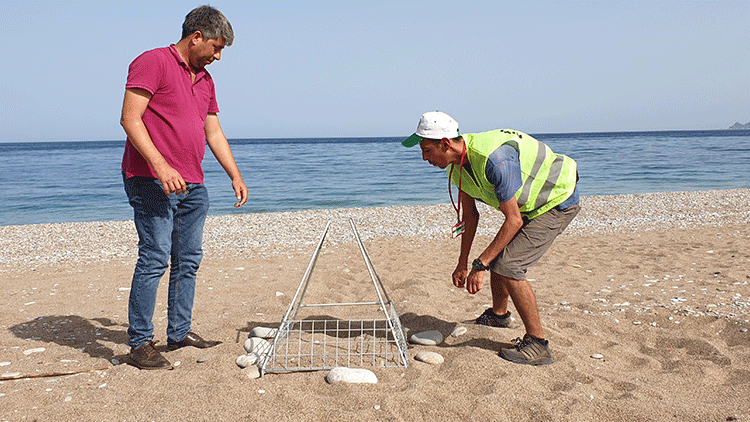 Antalyada bu yılın ilk caretta yuvaları