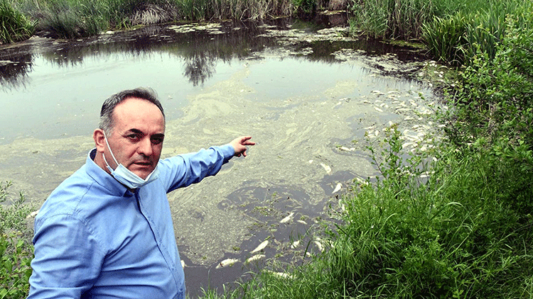 Barajdaki ürküten görüntünün nedeni belli oldu