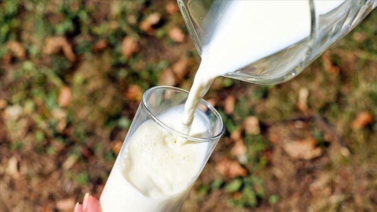 Süt ve süt ürünleri ihracatçıları Çin pazarıyla hedef büyüttü