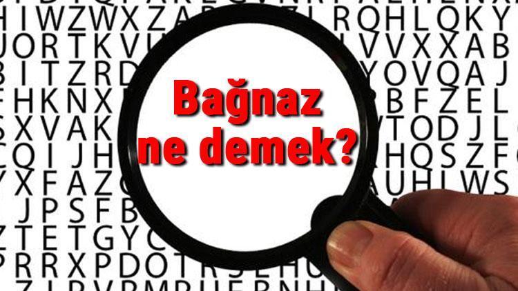 Bağnaz ne demek Bağnaz nedir Bağnaz TDK kelime anlamı