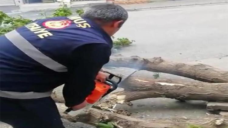 Fırtınanın devirdiği ağaç, caddeyi kapattı