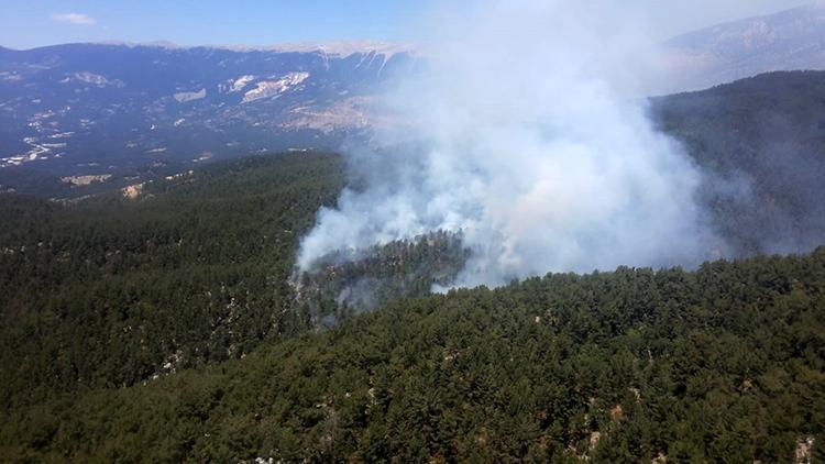 Demredeki yangında, 100 dönüm orman alanı kül oldu