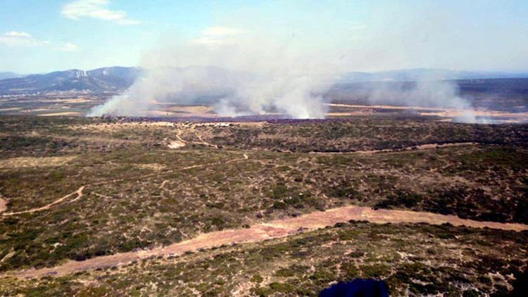 Aydında, 5 saatlik yangında 45 hektar makilik kül oldu
