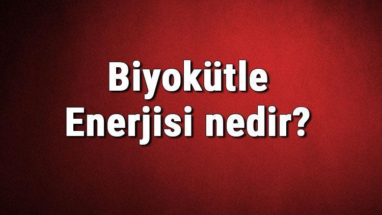 Biyokütle Enerjisi nedir Kullanım alanları nelerdir Biyokütle enerjisinden elektrik üretimi hakkında bilgi