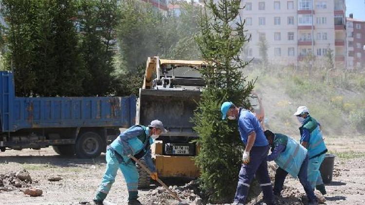 Kocasinanda fidanlar toprakla buluşuyor