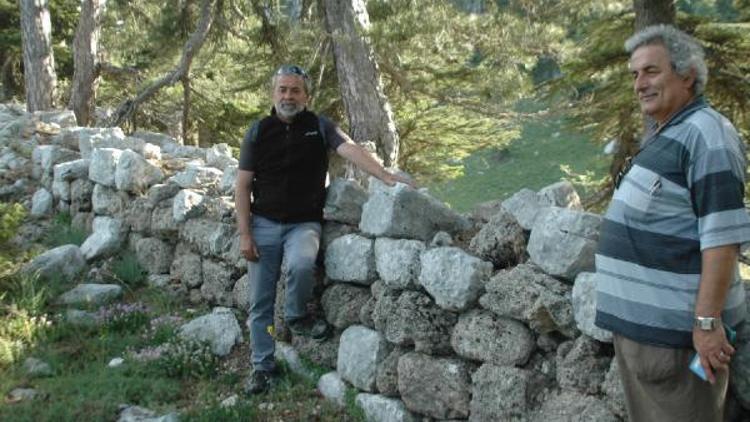 Mantar toplarken 2 bin 800 yıllık tarihi kalıntı buldu
