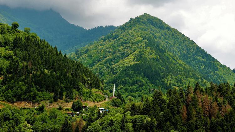 Karacabey: Her insan doğaya 210 ağaç borçlu