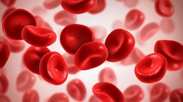 Trombosit nedir? Trombosit kan değeri kaç olmalıdır? Düşüklüğü ile yüksekliği nedenleri ve belirtileri 