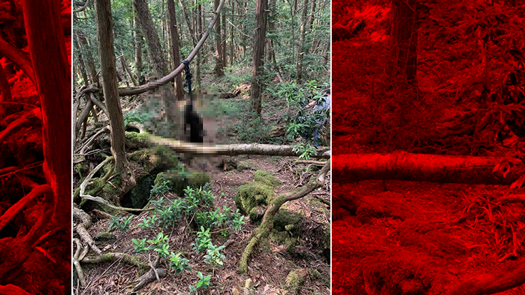 Japonyadaki intihar ormanında gezintiye çıkan Türkler şoka girdi
