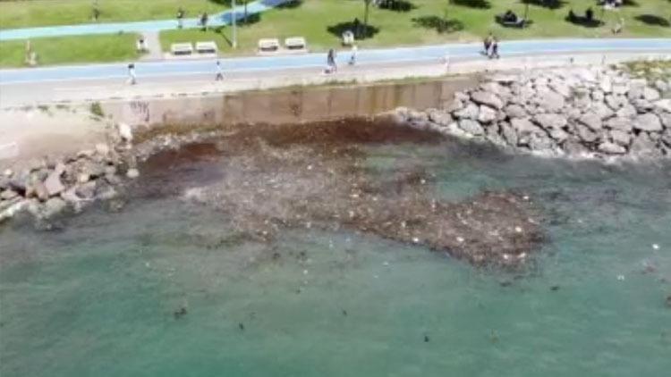 Caddebostan Sahilinde oluşan çöpler havadan görüntülendi