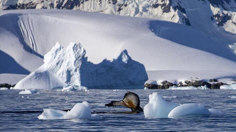 Antarktikada Çevre Koruma Protokolünün Uygulanmasına Dair Yönetmelik yayımlandı