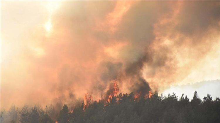 Tarım ve Orman Bakanlığından yangın söndürme atağı