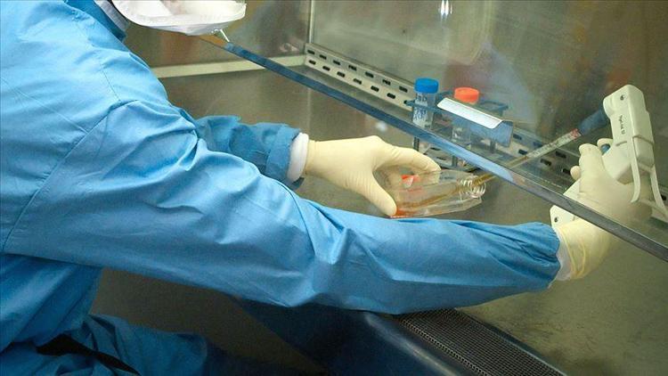 CureVac, Kovid-19 aşısını insanlar üzerinde test etmek için onay aldı