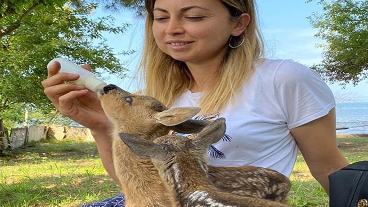 Yaralı karacalar ile evladı gibi ilgilenerek sağlıklarına kavuşturdu