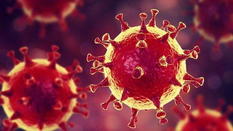 Son dakika: Corona virüste iyileşenlerin sayısı 4,5 milyonu geçti
