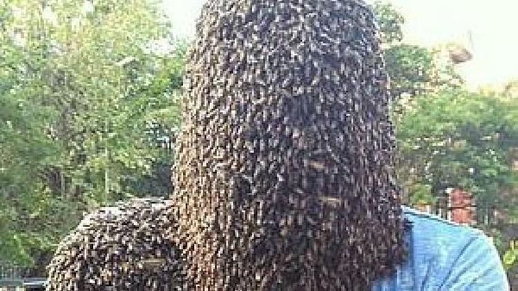 Hindistanda 60 bin arıyı kafasında tutan genç rekorlar kitabına girdi