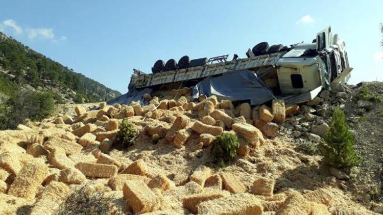 TIR şarampole devrildi, saman balyaları çevreye dağıldı