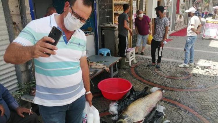 Edirnede gölette 2 metrelik yayın balığı yakalandı