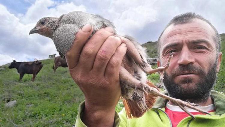 Yaralı kekliği kurtarmak için 4 kilometre yürüdü