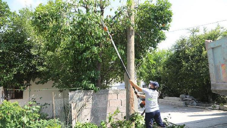 Yüreğirin ekiplerinden Seyhan Mahallesinde temizlik seferberliği