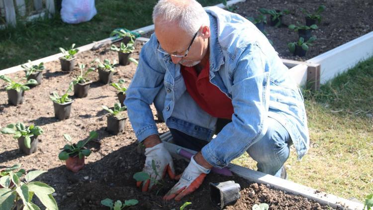 Beş projeyle yarışacak