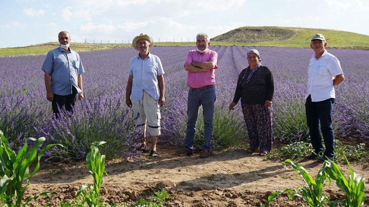 40 yıl sonra döndüğü köyüne lavanta bahçesi kurdu