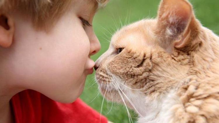 Çocuğa hayvan sevgisi aşılamanın yolları