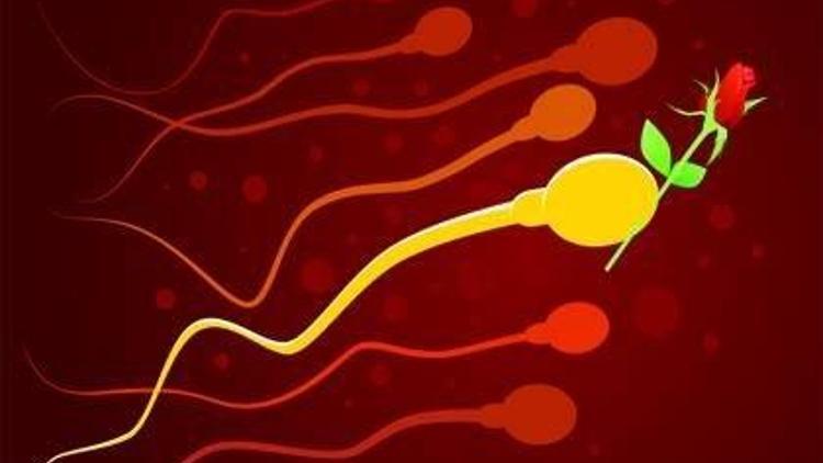 Seçilmiş spermle çocuk sahibi olabilirsiniz