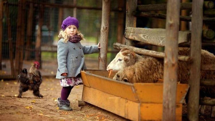 Kurban kesimini çocuklara izletmeyin