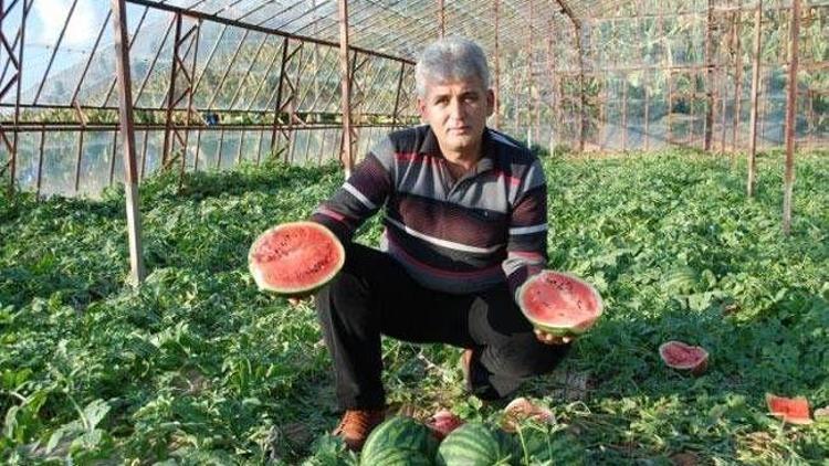 Kış ortasında karpuz yetiştiriyor