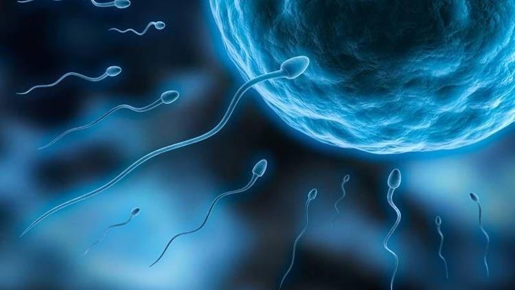 Sağlıklı sperm seçimi nasıl olmalı