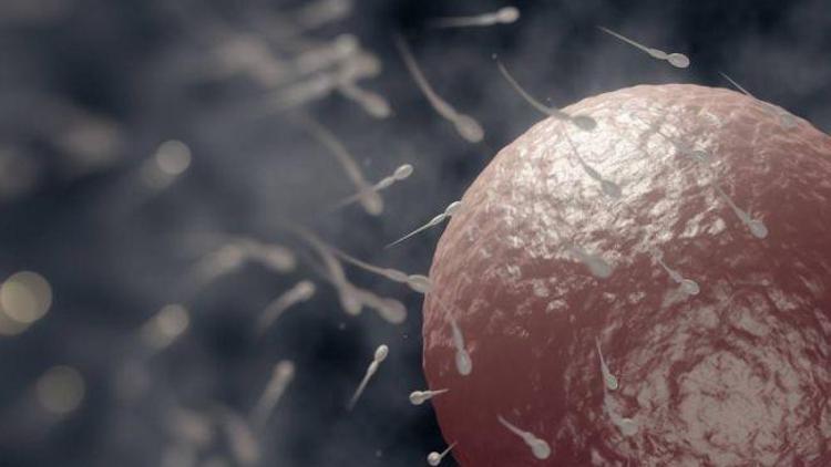 Sperm bankaları aileyi yok ediyor