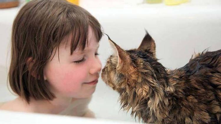 Otizmli küçük kız ve kedisinin müthiş arkadaşlığı