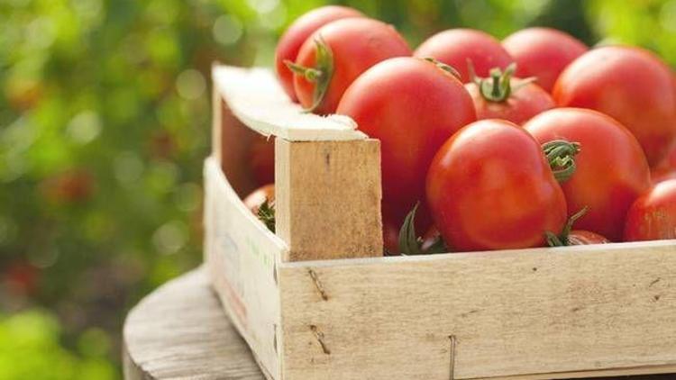 Felç riskine karşı domates mucizesi
